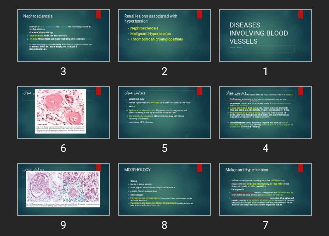 پاورپوینت DISEASES INVOLVING BLOOD VESSELS