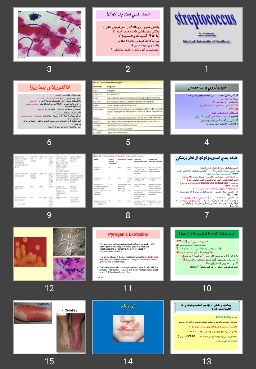 پاورپوینت استرپتو كوک ها (streptococcal)