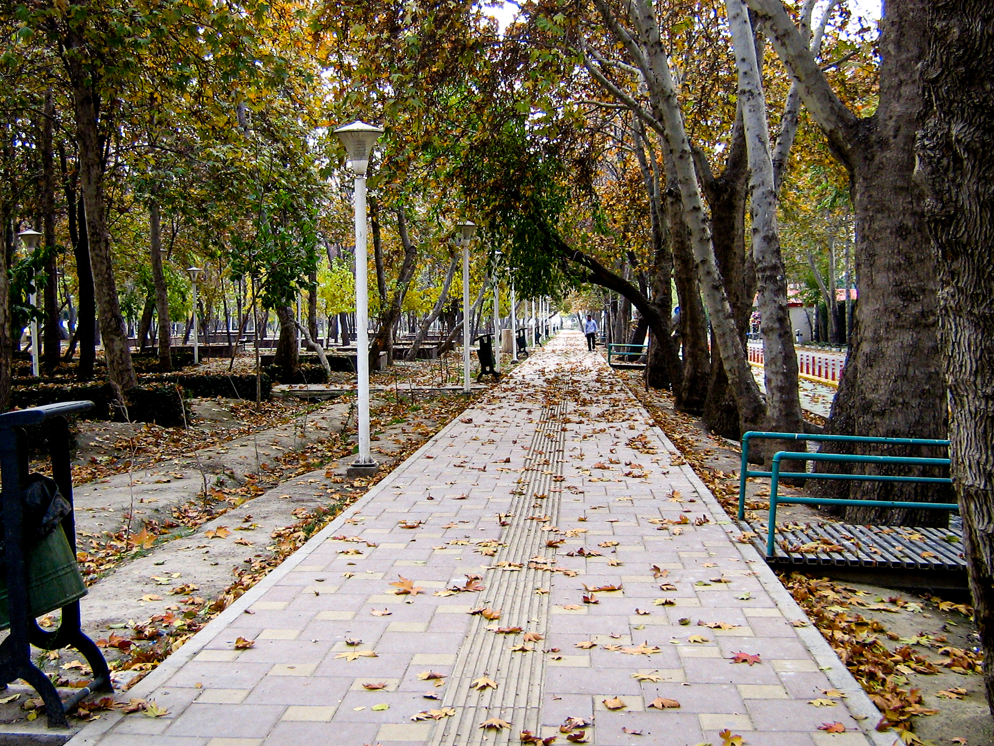 کوچه باغ 1