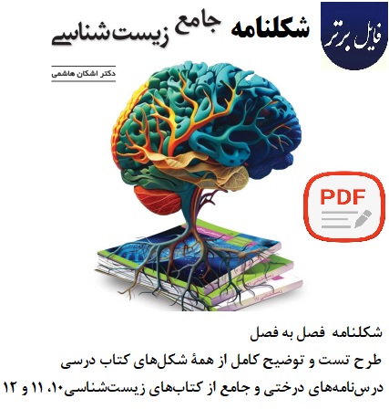 شکلنامه زیست جامع کنکور 1404 (اشکان هاشمی)