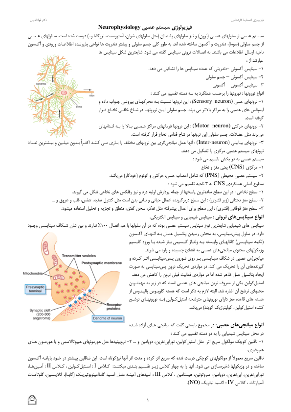 فیزیولوژی اعصاب(جزوه) 🔬 نسخه کامل ✅