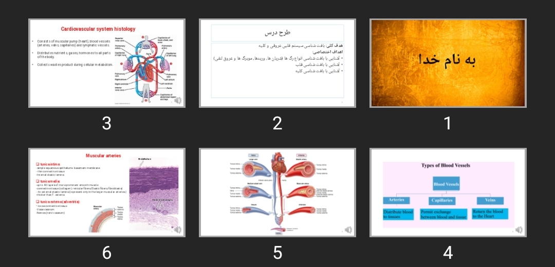 پاورپوینت Cardiovascular system histology