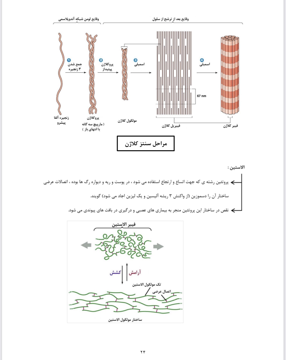 جزوه بیوشیمی پزشکی.pdf (نسخه کامل)✅