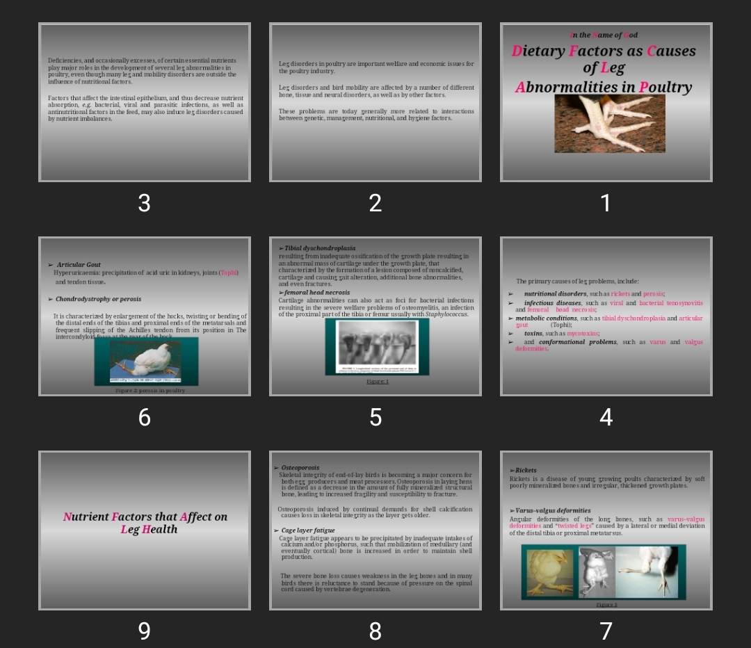 پاورپوینت Dietary Factors as Causes of Leg Abnormalities in Poultry