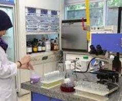 جذب سطحی کامیوم از محلول آبی توسط برگ نخل و بررسی ایزوترم ها