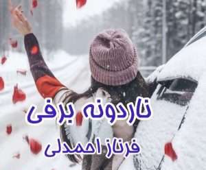 رمان عاشقانه ناردونه برفی