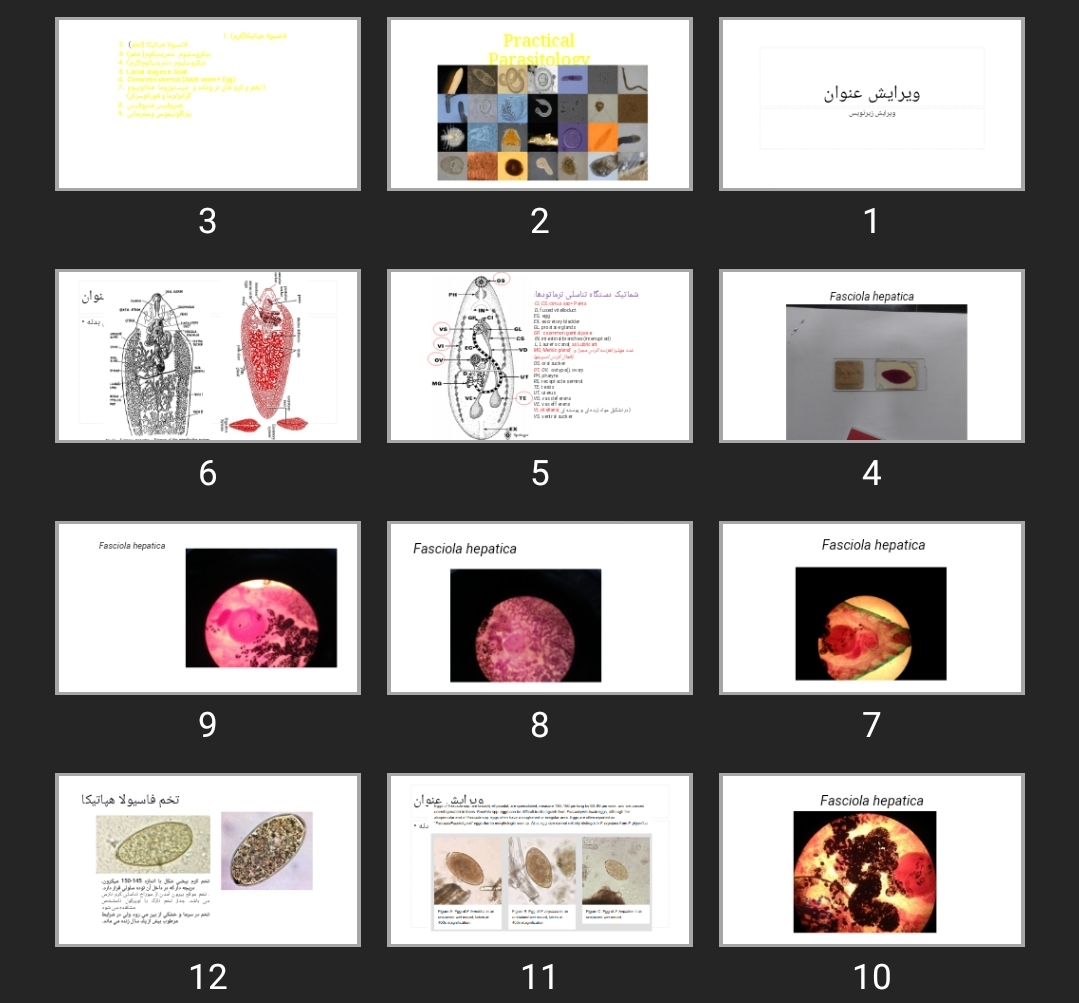 پاورپوینت انگل عملی