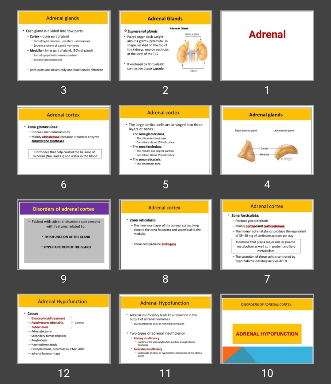 پاورپوینت بیماری های آدرنال Adrenal