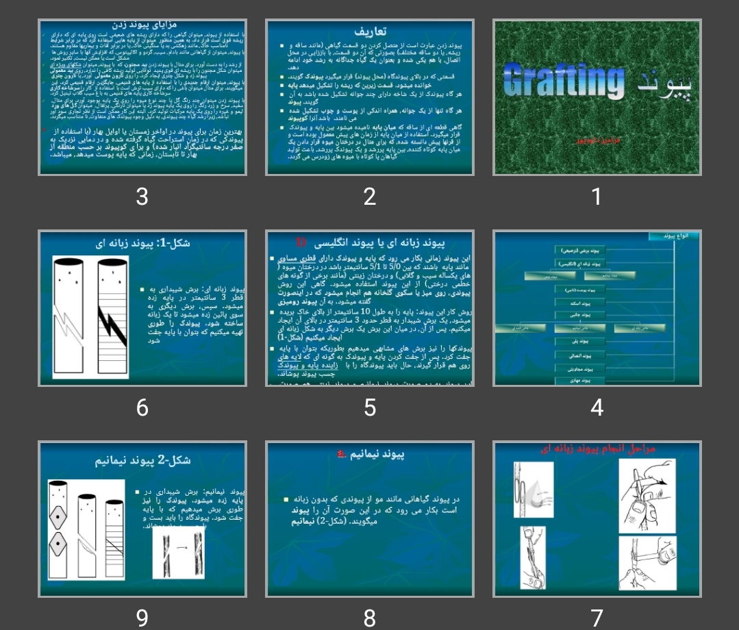 پاورپوینت پیوند (Grafting)