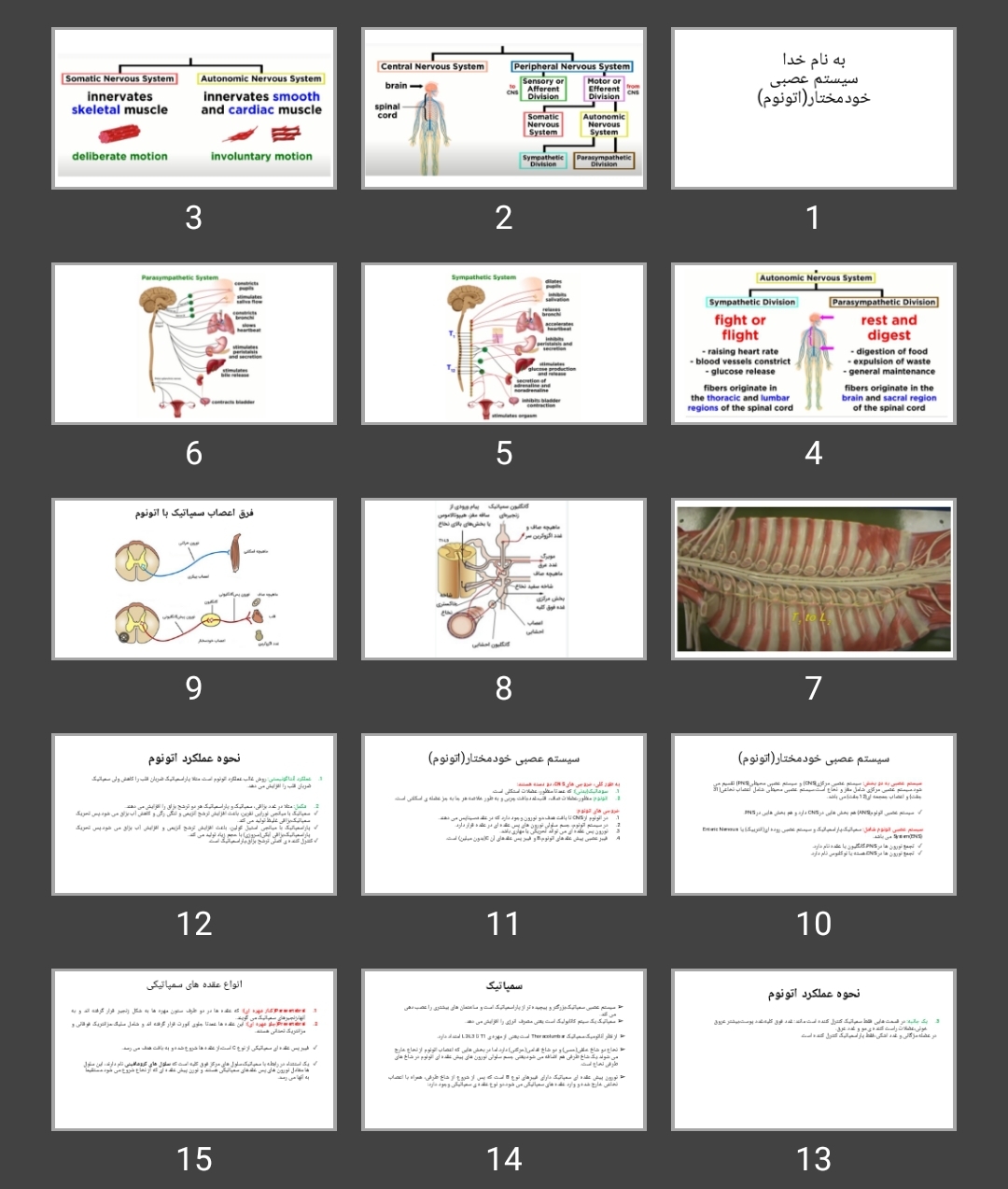 پاورپوینت سیستم عصبی خودمختار(اتونوم)