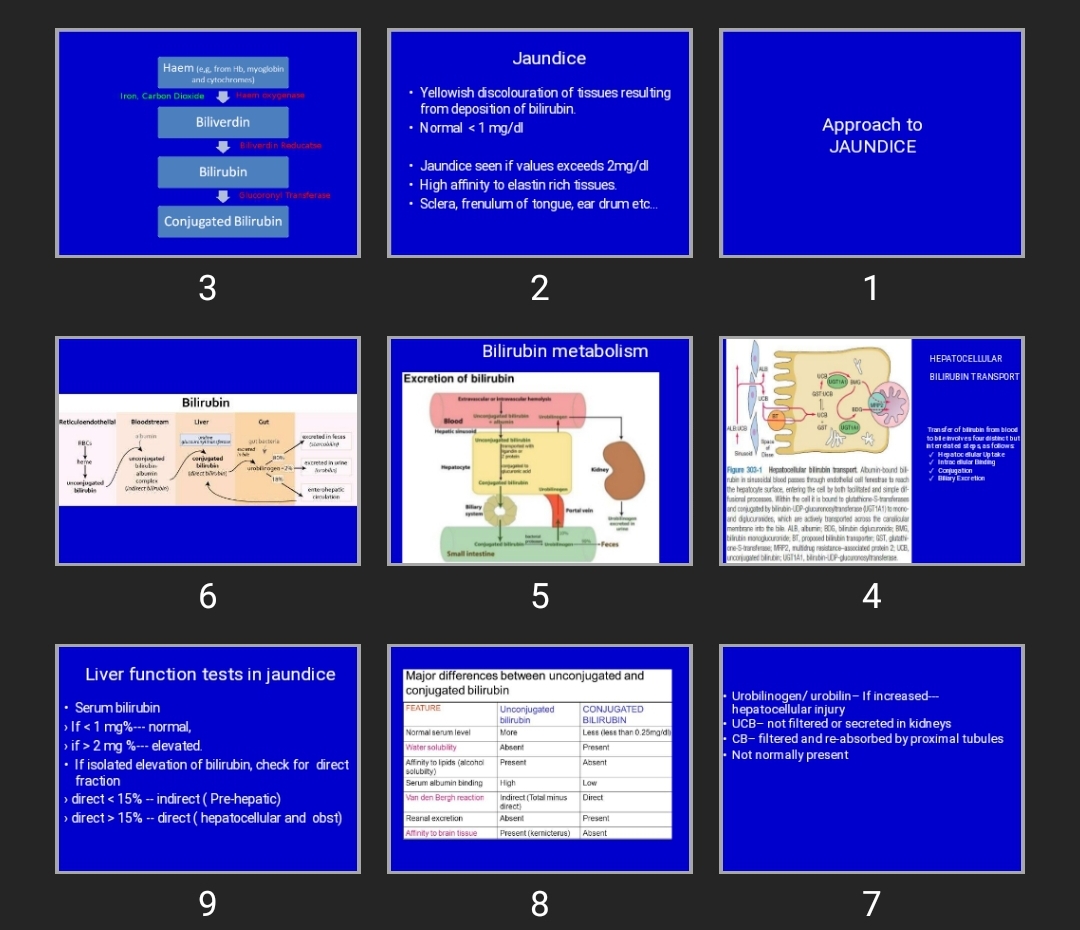 پاورپوینت Approach to JAUNDICE