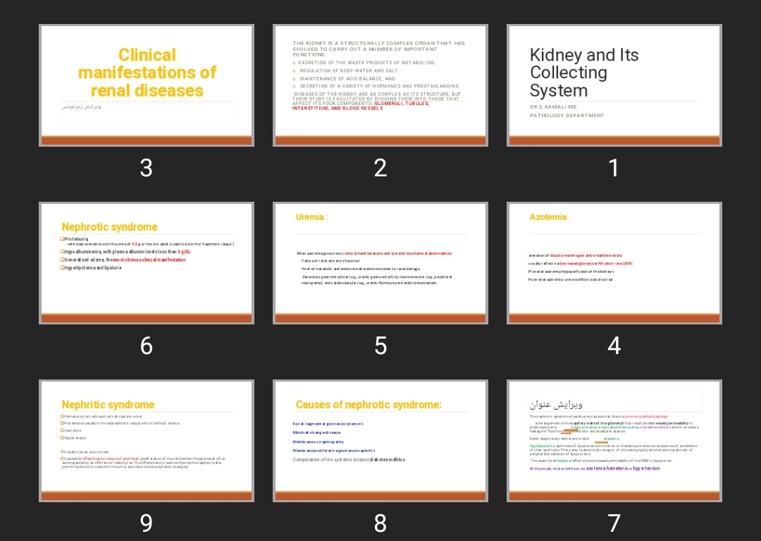 پاورپوینت Kidney and Its Collecting System