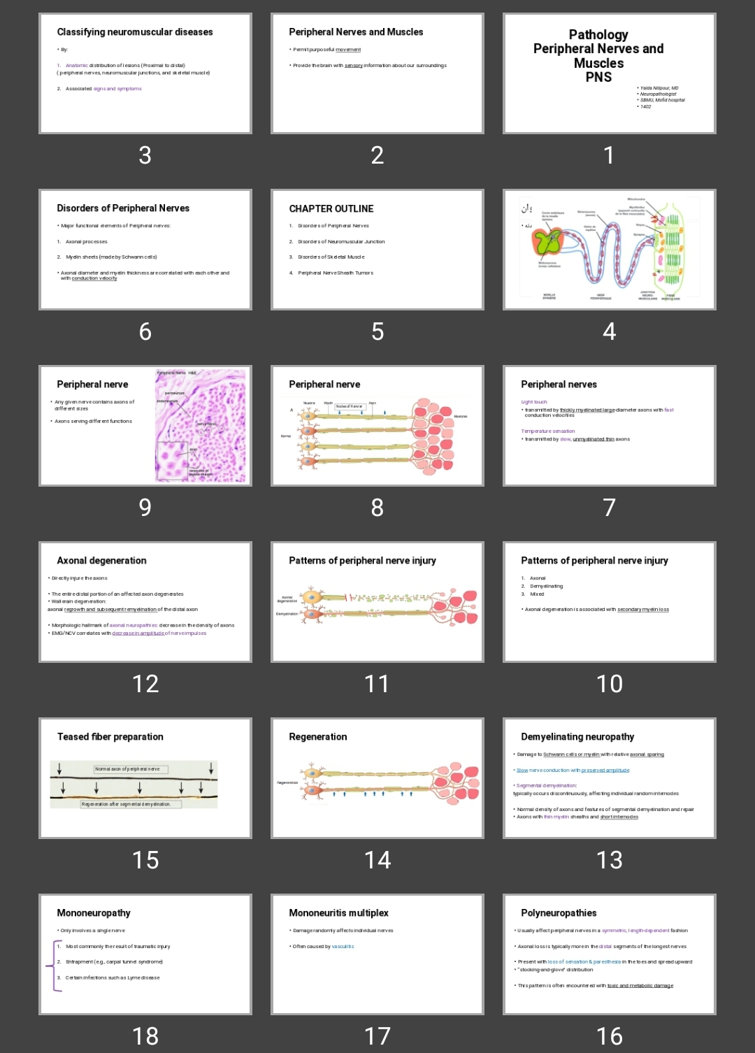 پاورپوینت Pathology Peripheral Nerves and Muscles PNS