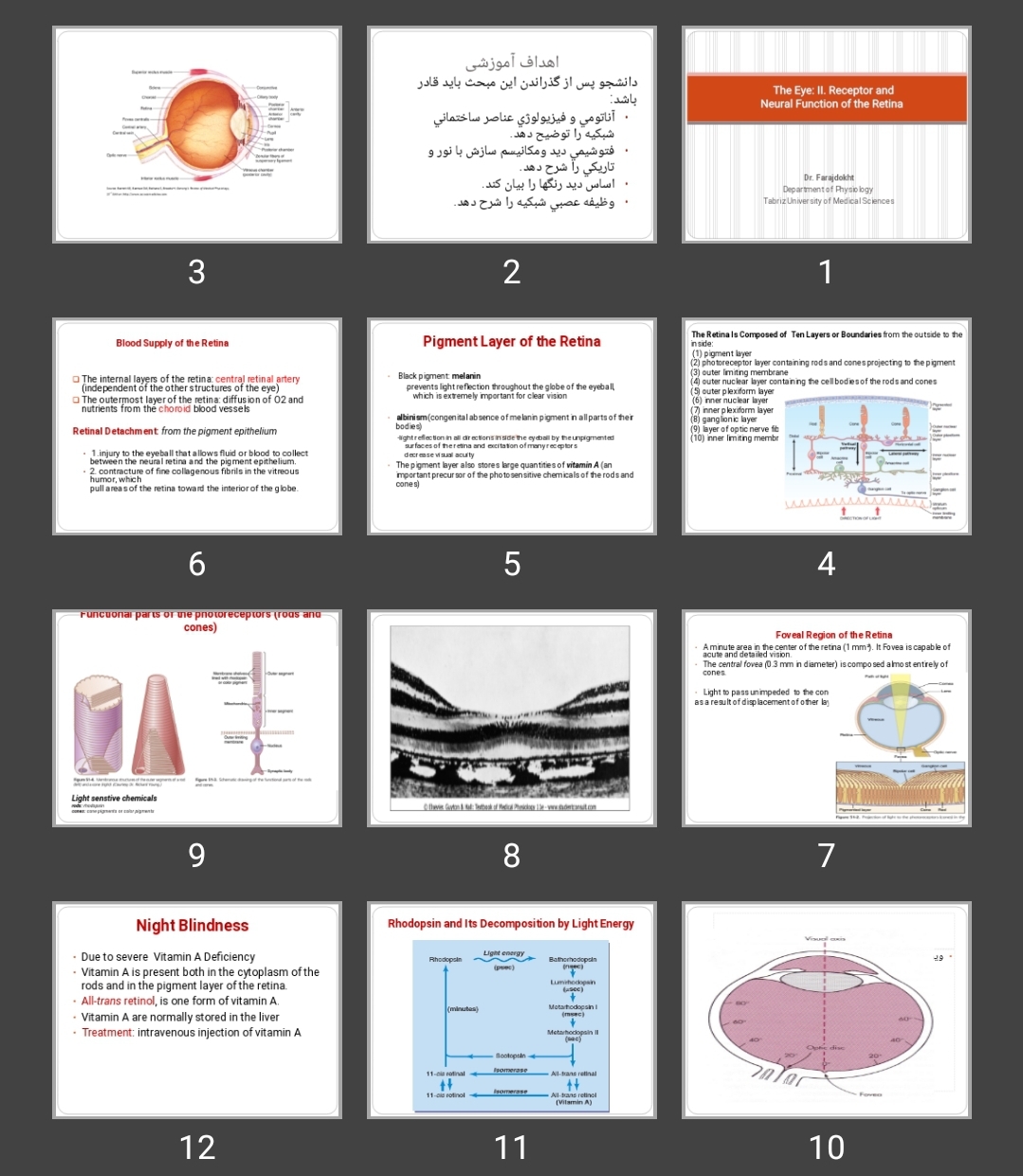 پاورپوینت The Eye: II. Receptor and Neural Function of the Retina