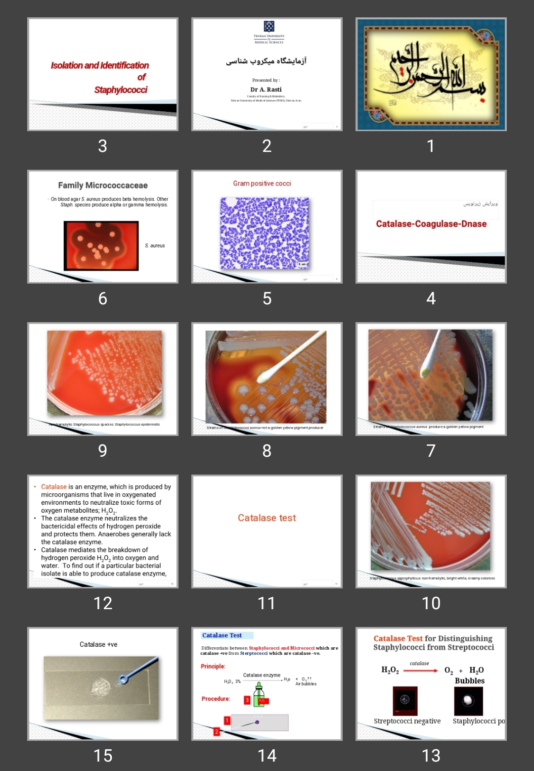 پاورپوینت آزمایشگاه میکروب شناسی (Isolation and Identification of Staphylococci )