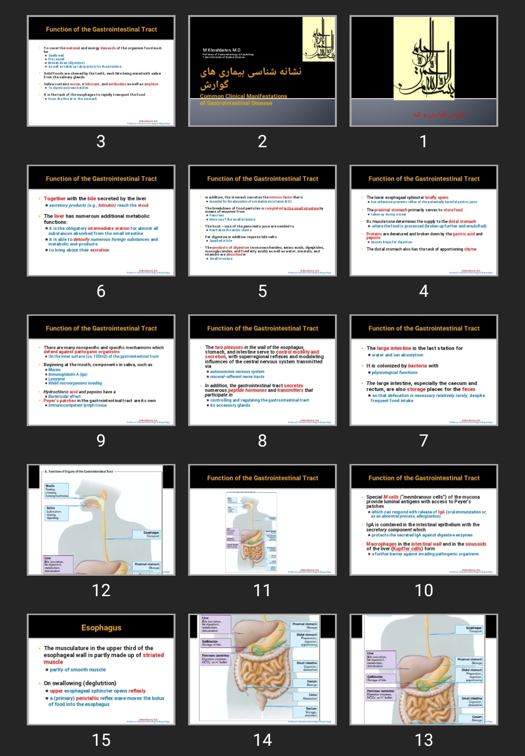 پاورپوینت نشانه شناسی بیماری های گوارش