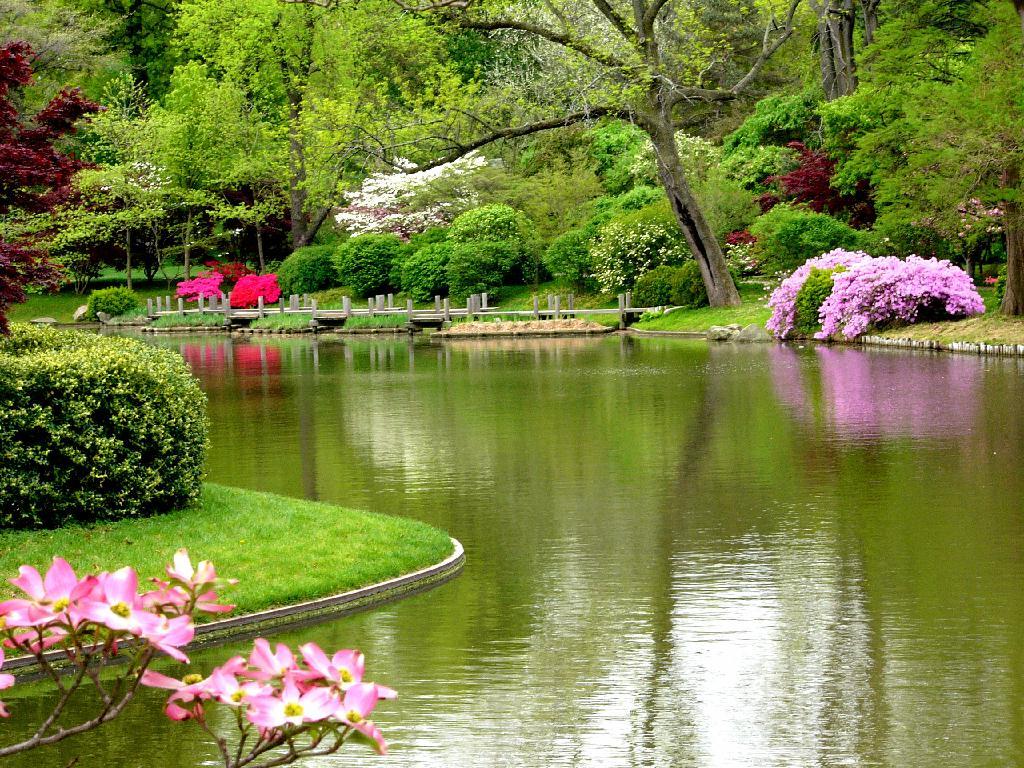 پاورپوینت کامل درس 11 علوم کلاس چهارم (بی مهره ها)