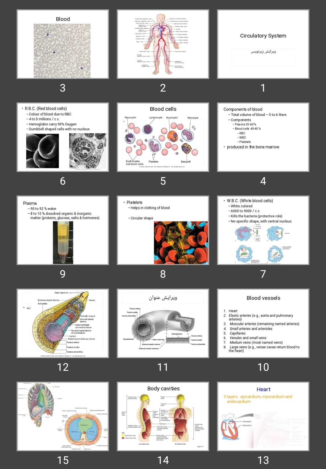 پاورپوینت Circulatory System 1