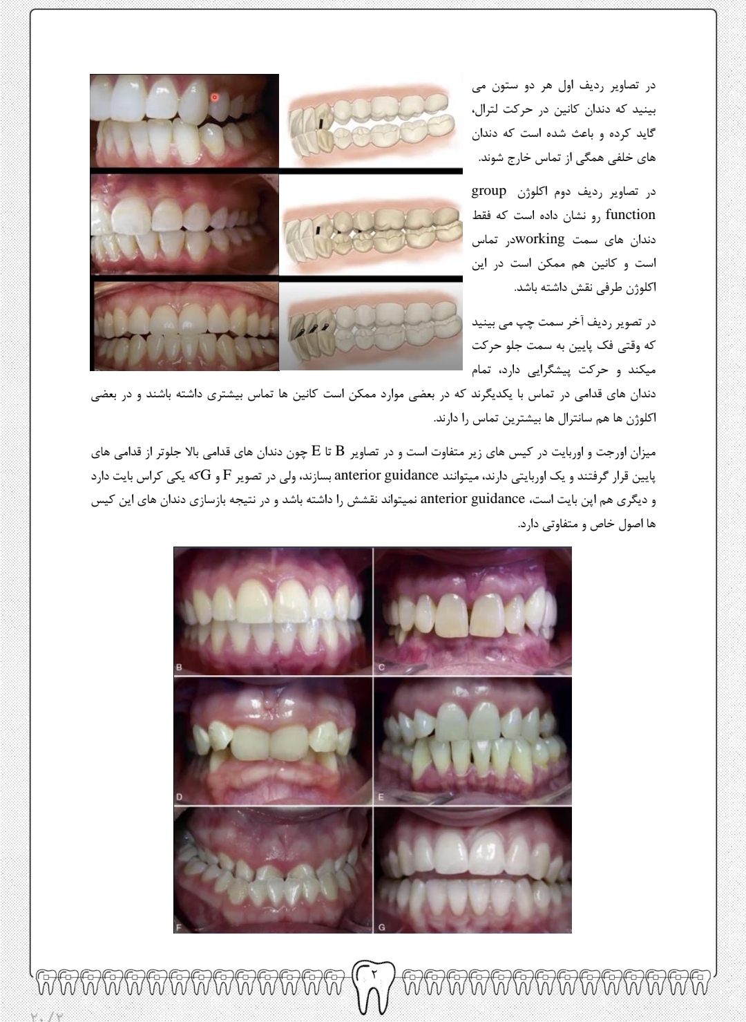 جزوه راهنمای قدامی