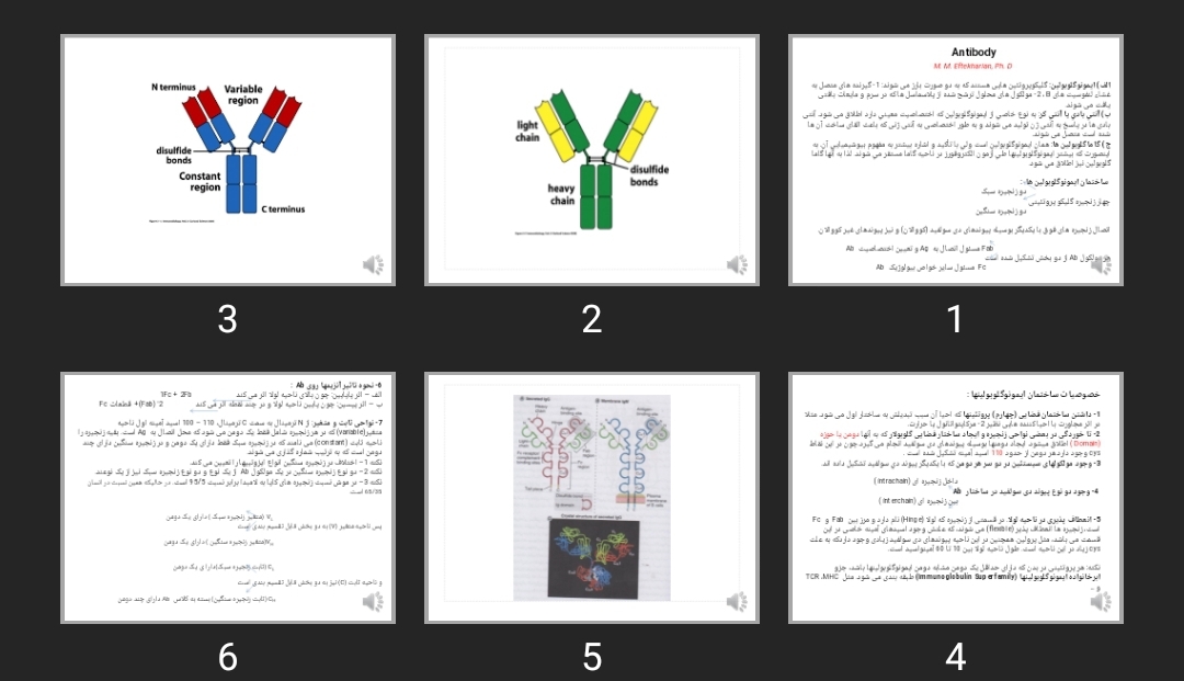 پاورپوینت Antibody