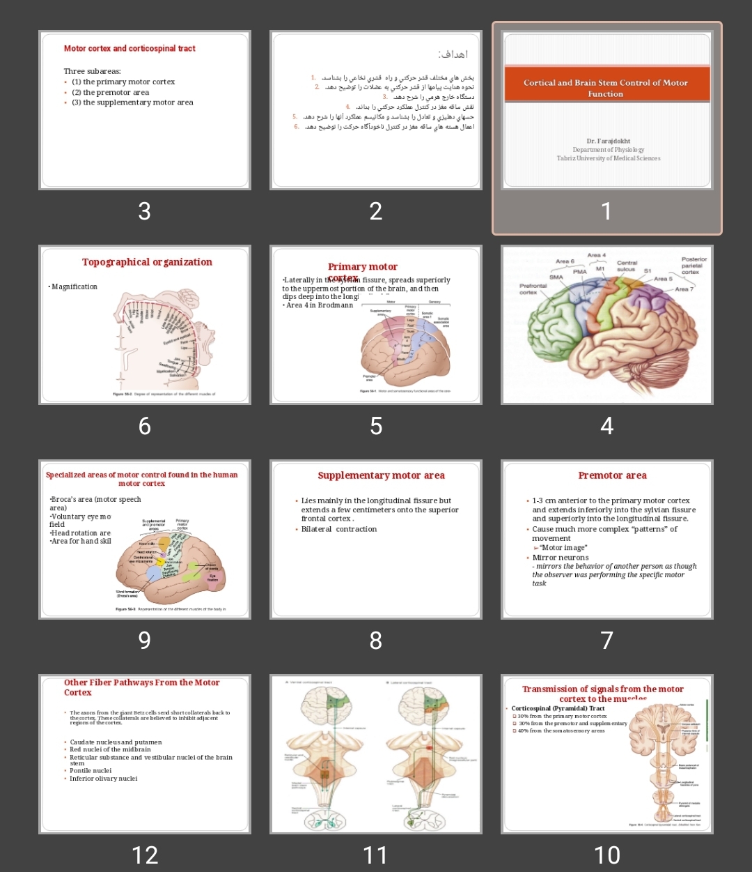 پاورپوینت Cortical and Brain Stem Control of Motor Function