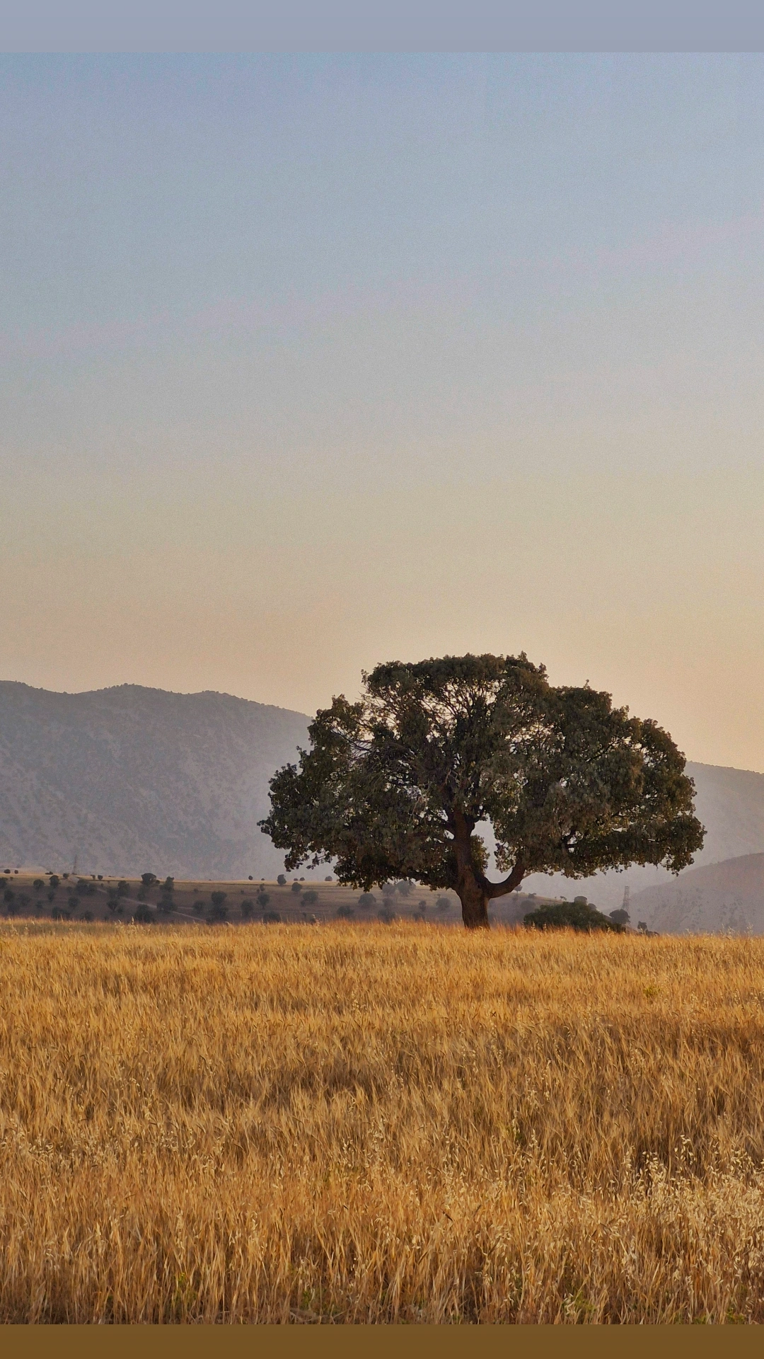 جدیدترین فایل های فاپول