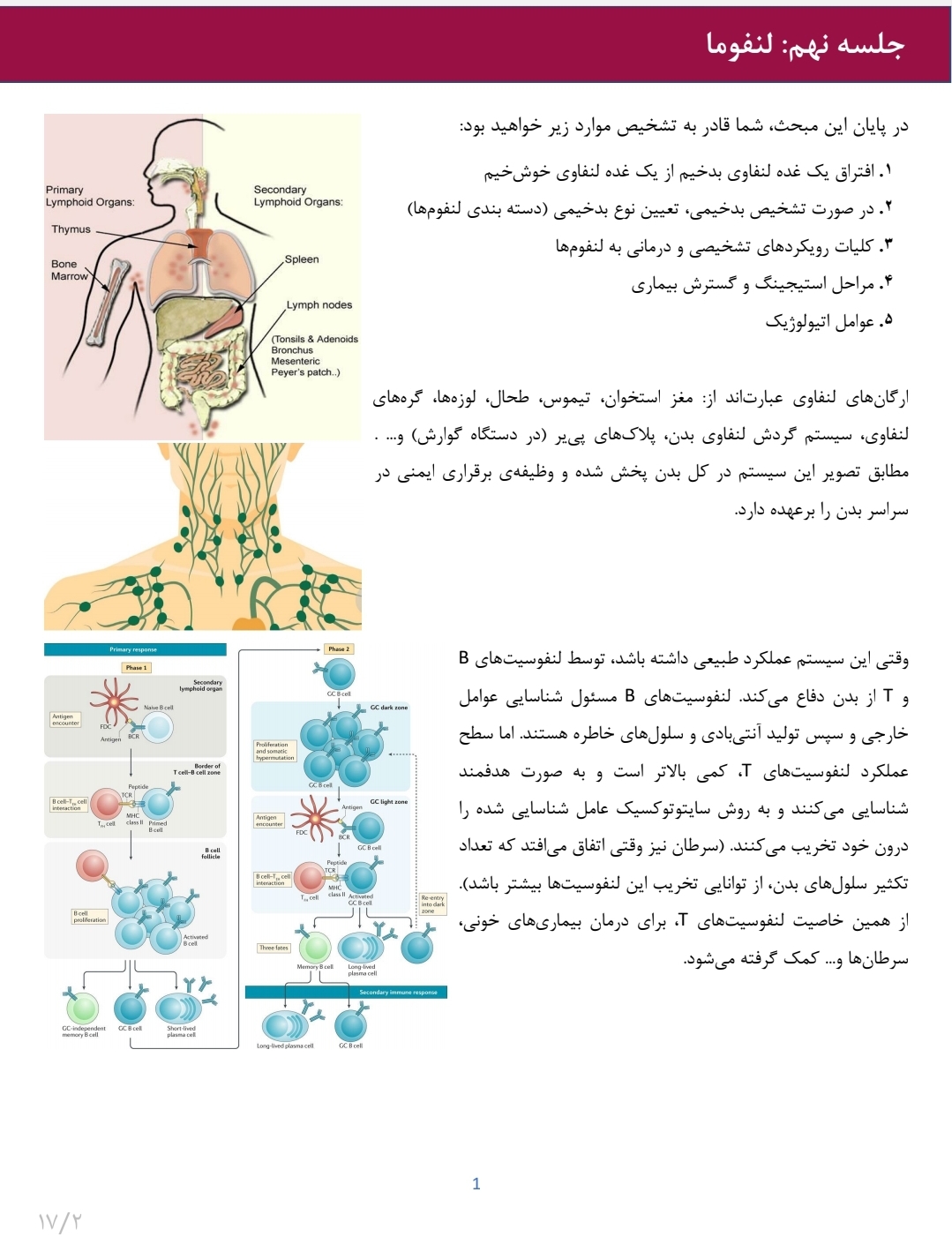 جزوه لنفوما