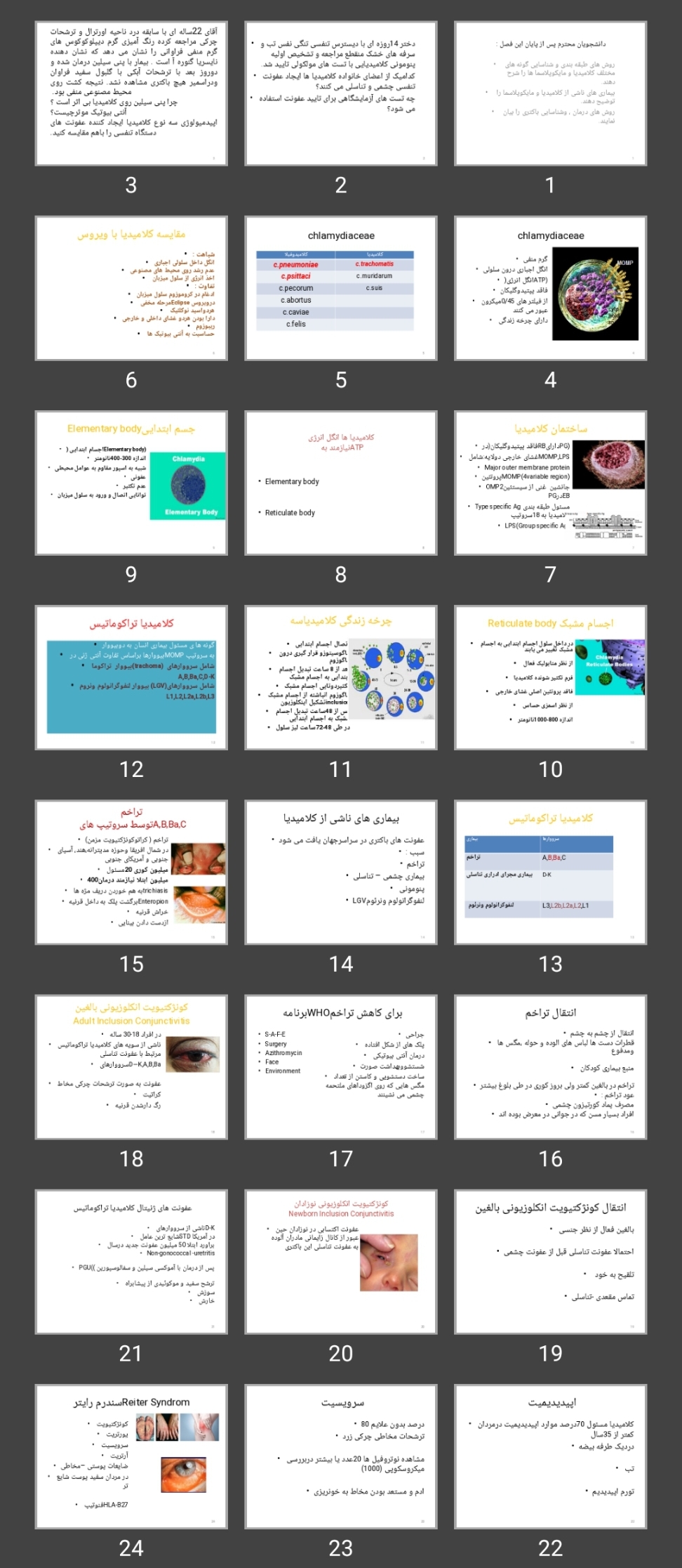 پاورپوینت chlamydia & mycoplasmatales