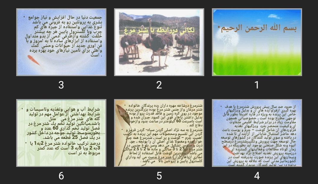 پاورپوینت نكاتی در رابطه با شتر مرغ