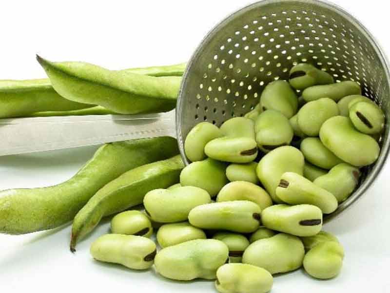 فهرست داروﻫﺎی ﻣﻤﻨﻮع ﺑﺮای ﺑﯿﻤﺎران ﻣﺒﺘﻼ ﺑﻪ ﻓﺎوﯾﺴﻢ (pdf)