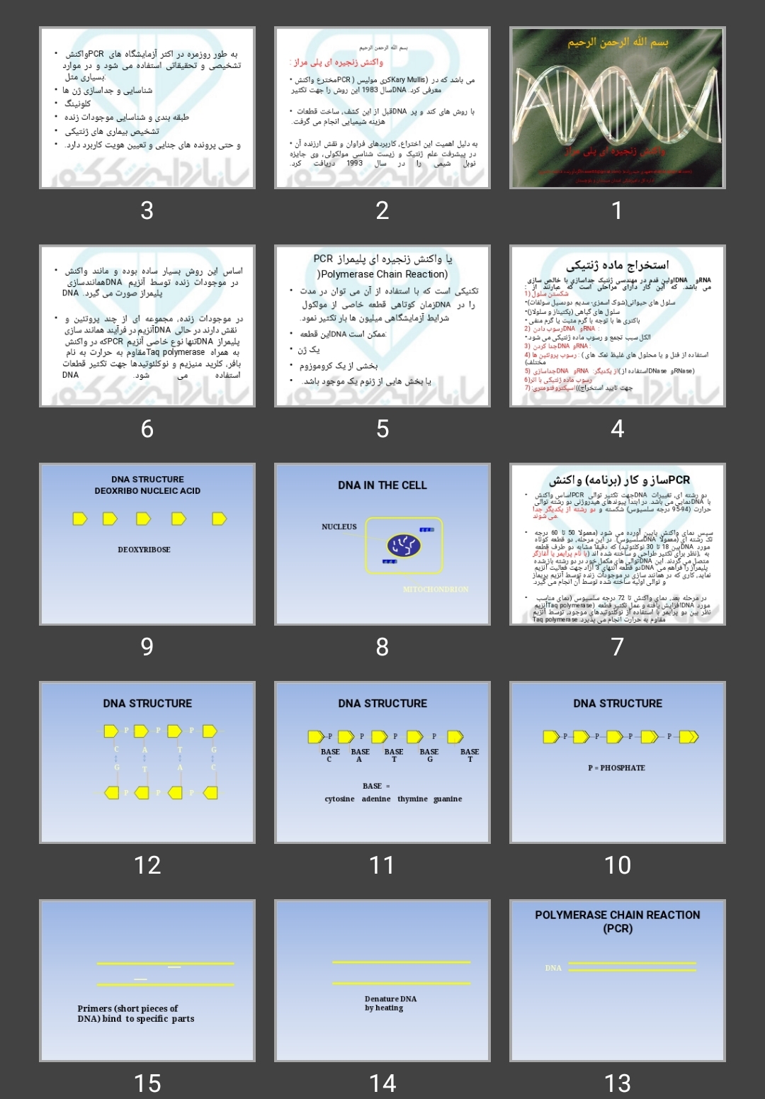 پاورپوینت واکنش زنجیره ای پلی مراز pcr+