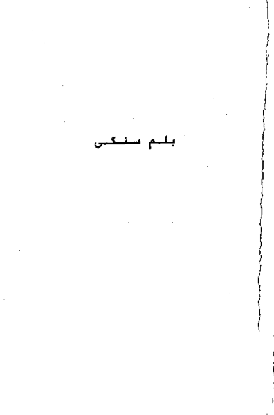 کتاب بلم سنگی 📘 نسخه کامل ✅