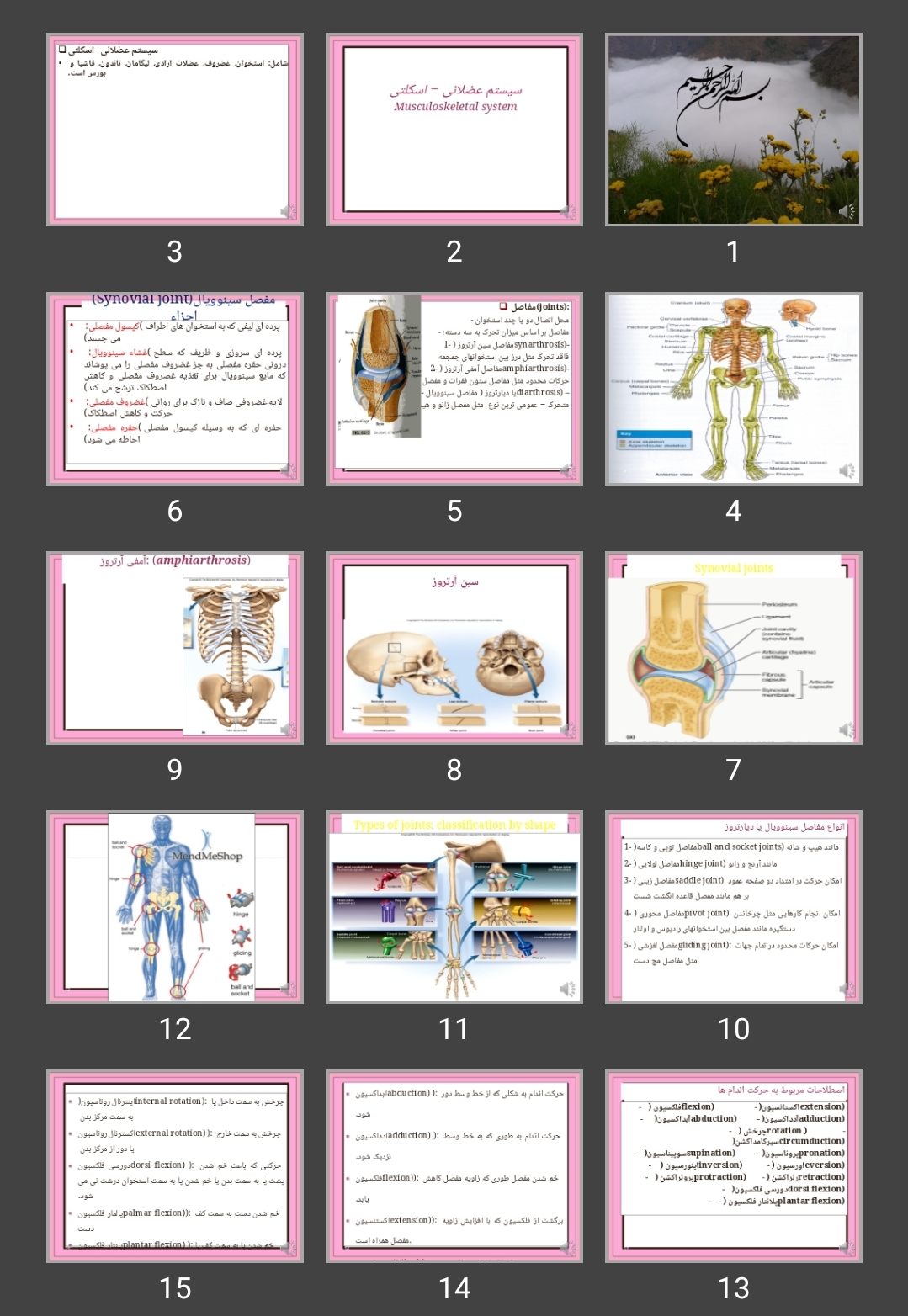 پاورپوینت سیستم عضلانی – اسکلتی Musculoskeletal system