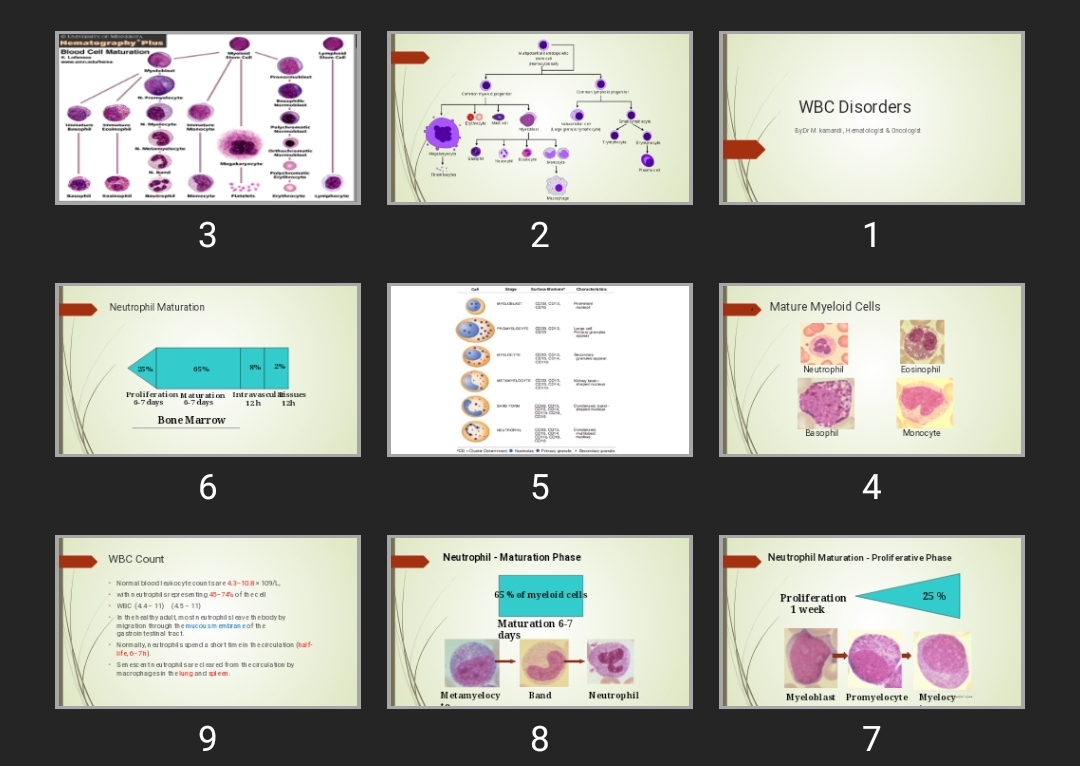 پاورپوینت WBC Disorders
