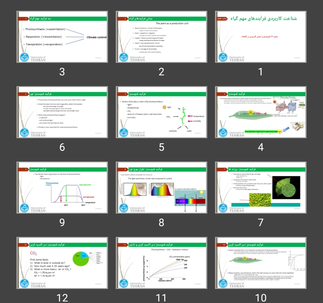 پاورپوینت فتوسنتز و تنفس کاربردی در گلخانه