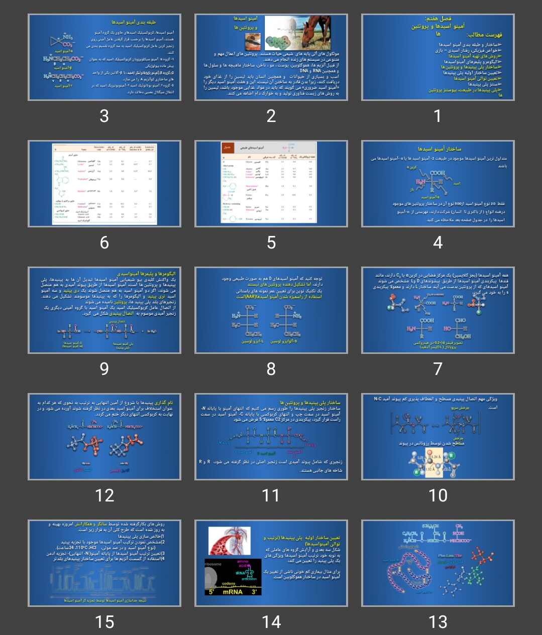 پاورپوینت آمینو اسیدها و پروتئین ها