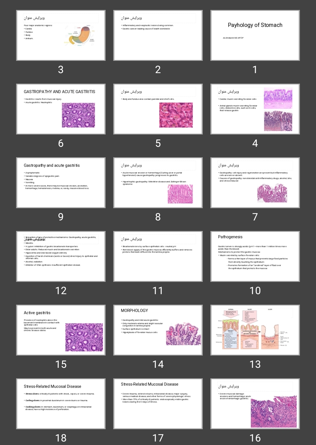 پاورپوینت Payhology of Stomach