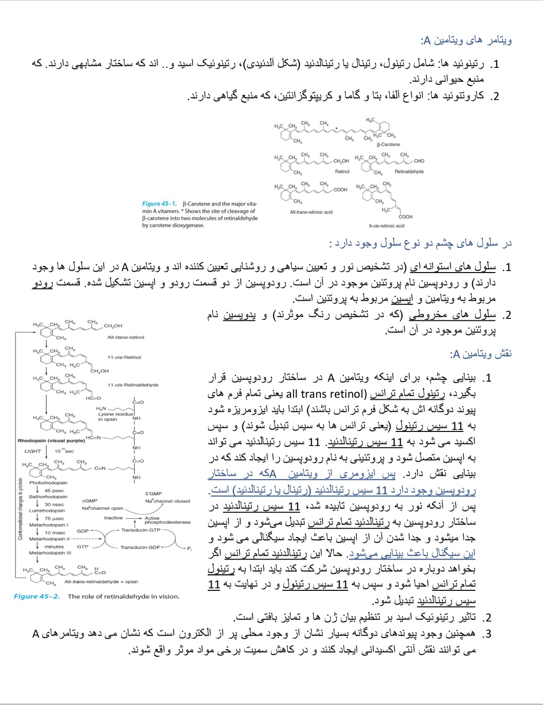 بیوشیمی ویتامین و متابولیسم