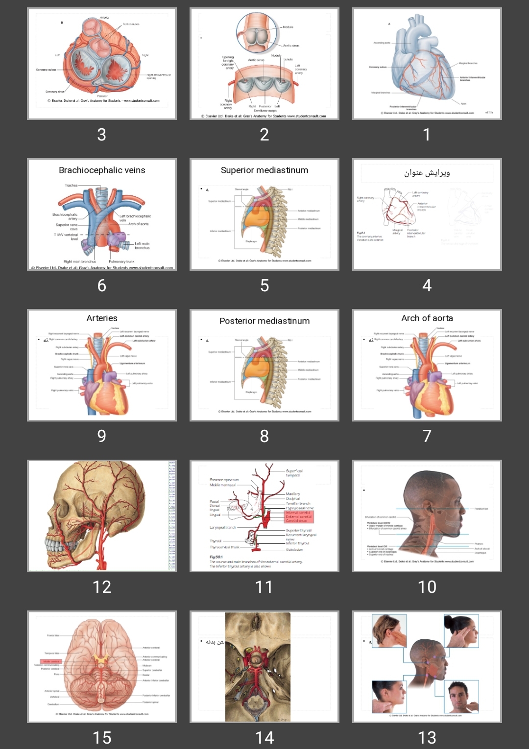 پاورپوینت 2 Circulatory System