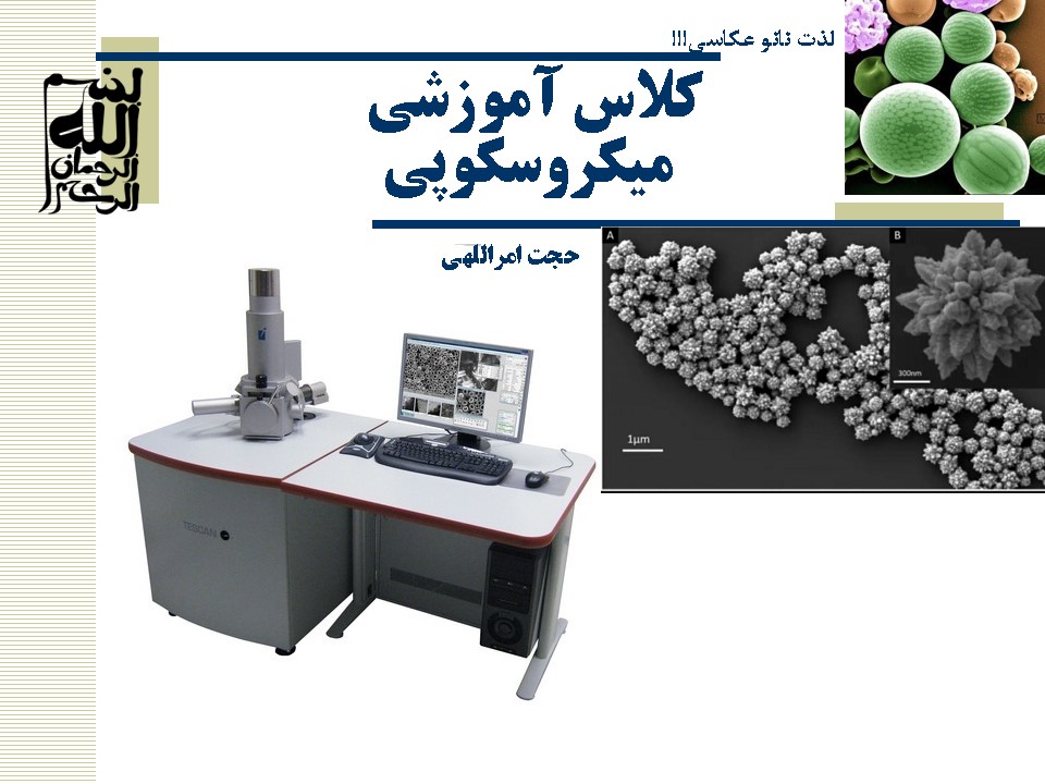 کارگاه آموزشي میکروسکوپی (SEM، EDX, AFM, TEM)
