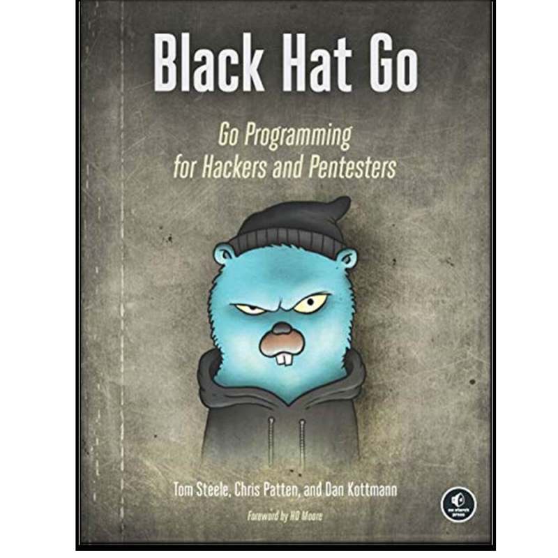 دانلود pdf کامل کتاب Black Hat Go: Go Programming For Hackers and Pentesters