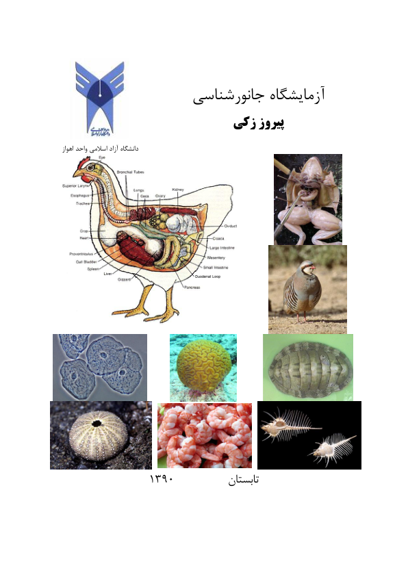 مبانی آزمایشگاه جانور شناسی(جزوه) 🔬 نسخه کامل ✅