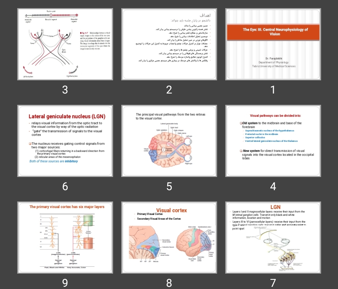 پاورپوینت The Eye: III. Central Neurophysiology of Vision