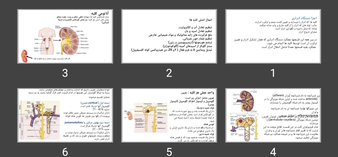 پاورپوینت کلیه