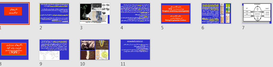   پاورپوینت قارچهای میکوریزی