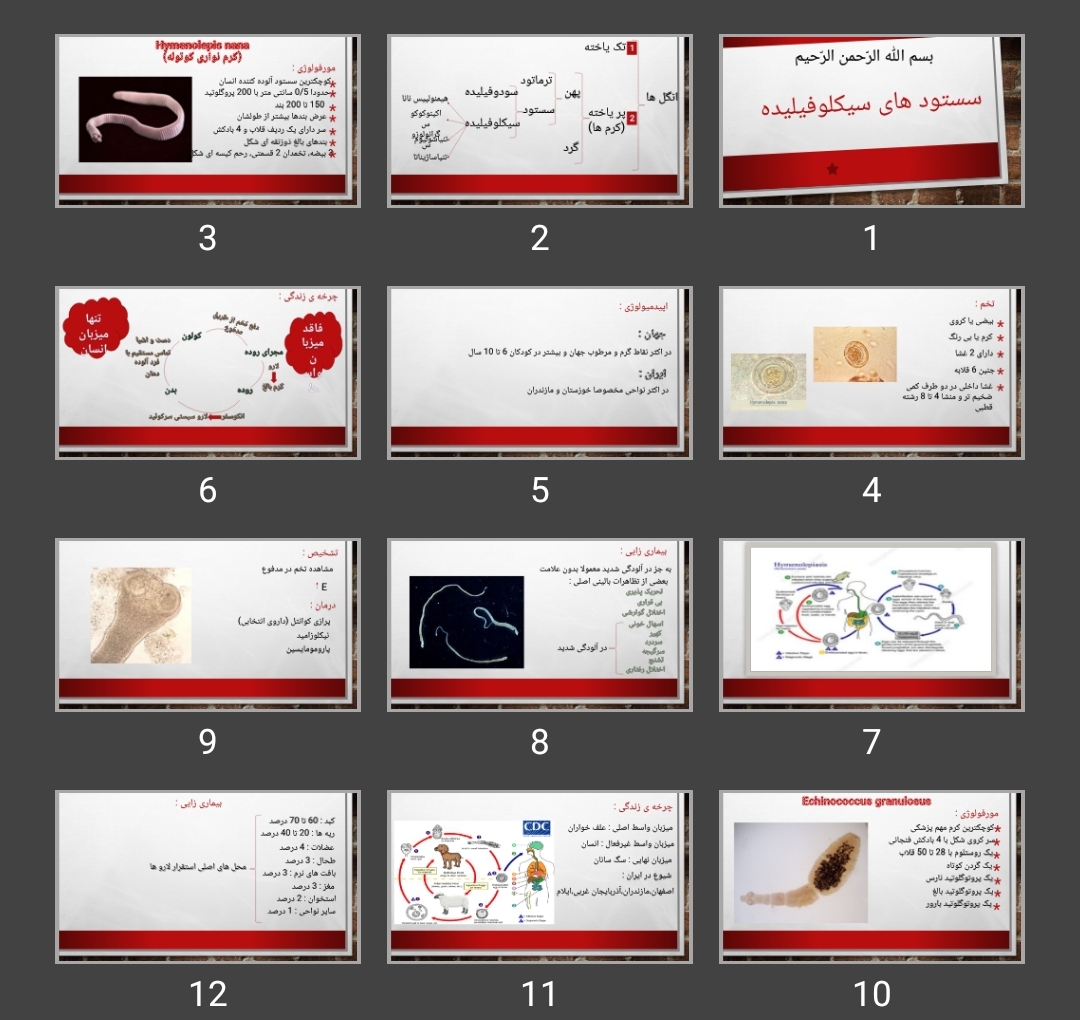 پاورپوینت سستود های سیکلوفیلیده