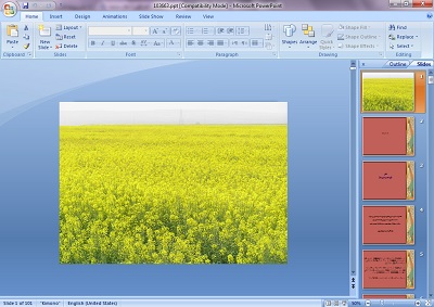 دانلود پاورپوینت کلزا (توسعه و مدیریت)