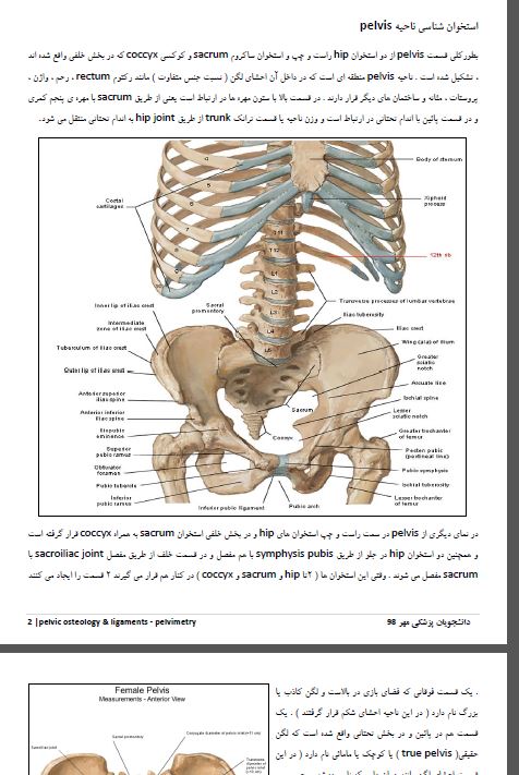 جزوه آناتومی ادراری تناسلی /رشته پزشکی /205 صفحه تایپ شده