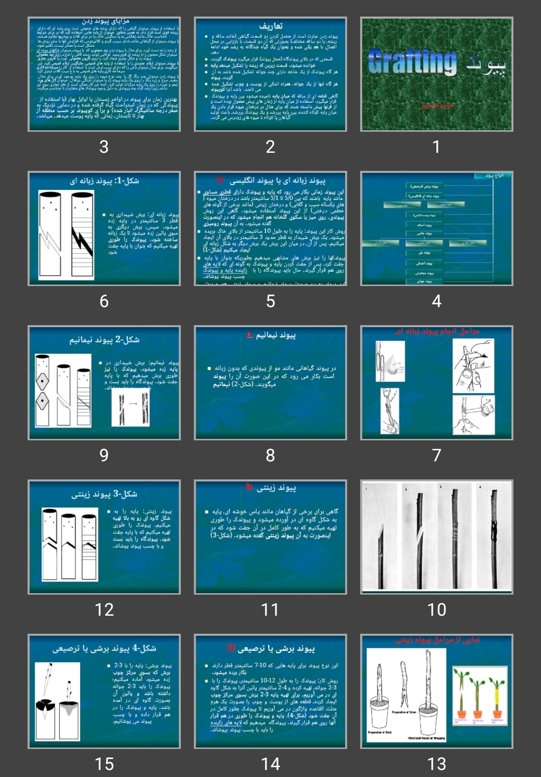 پاورپوینت پیوند Grafting