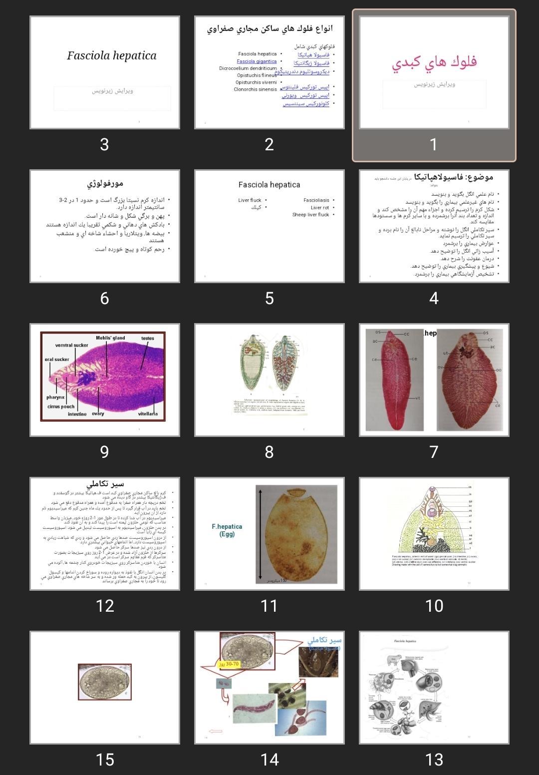 پاورپوینت ترماتودها دستیاری پزشکی